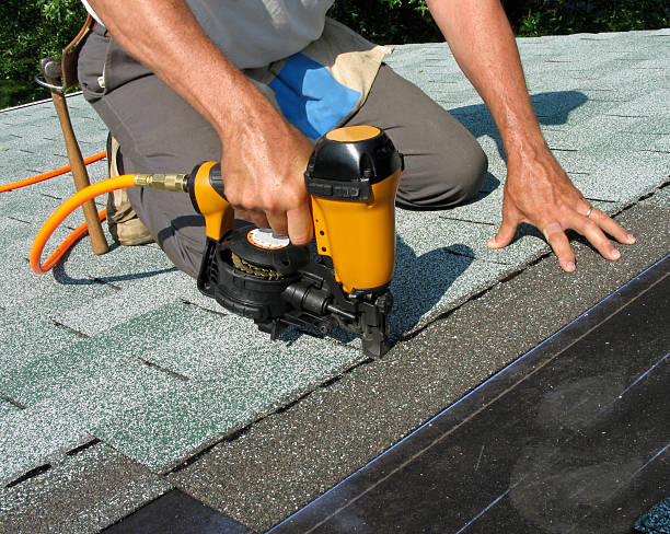 Best Storm Damage Roof Repair  in Northfield, MN